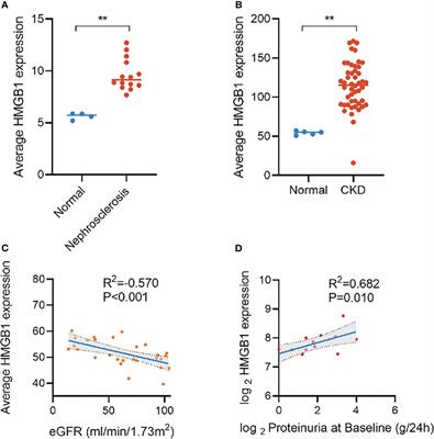 Serum high mobility group box 1 as a potential biomarker for the progression of kidney disease in patients with type 2 diabetes